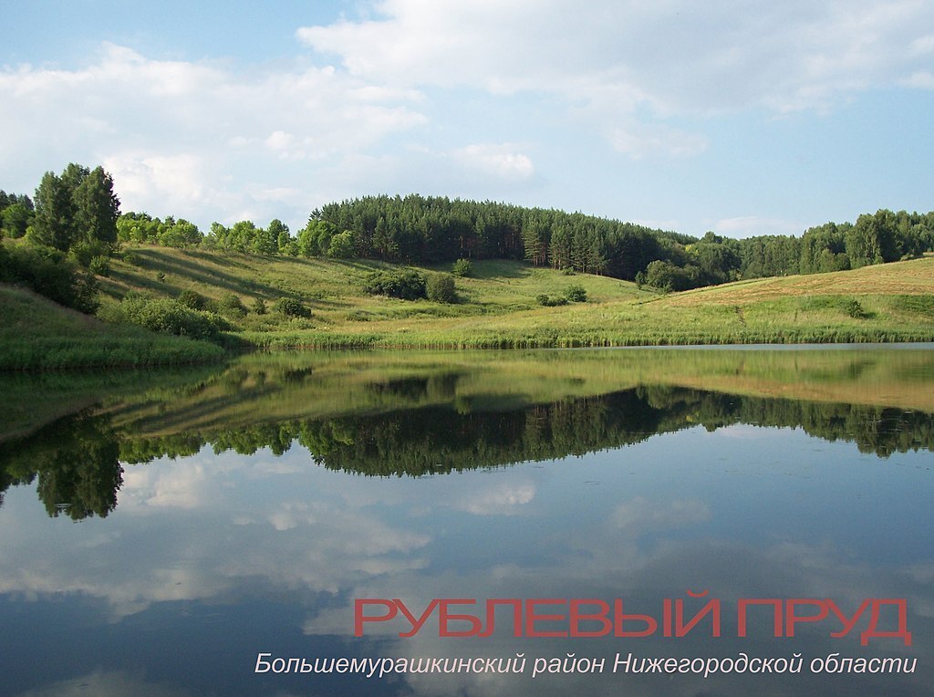 Рассказ "Город Большое Мурашкино"