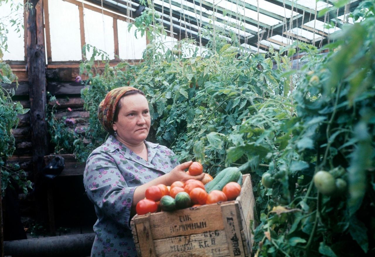 Эпоха СССР - редкие кадры того времени. Эхх... ностальгия