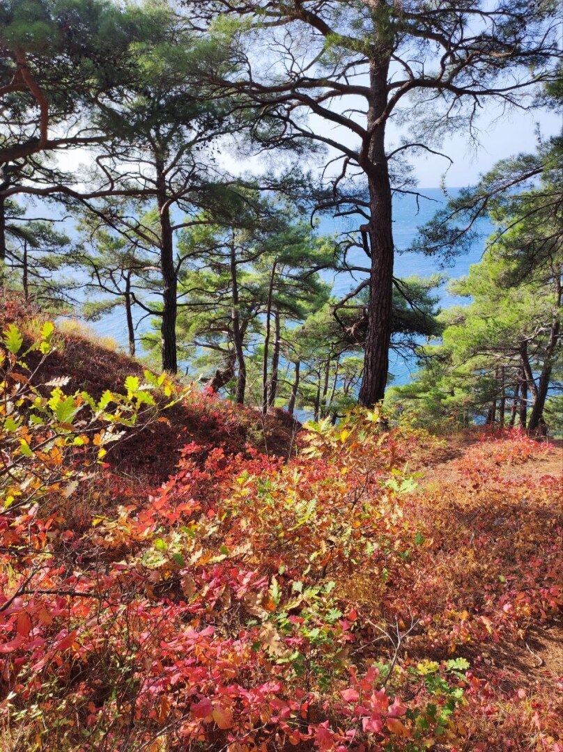 Такую красоту надо видеть своими глазами!