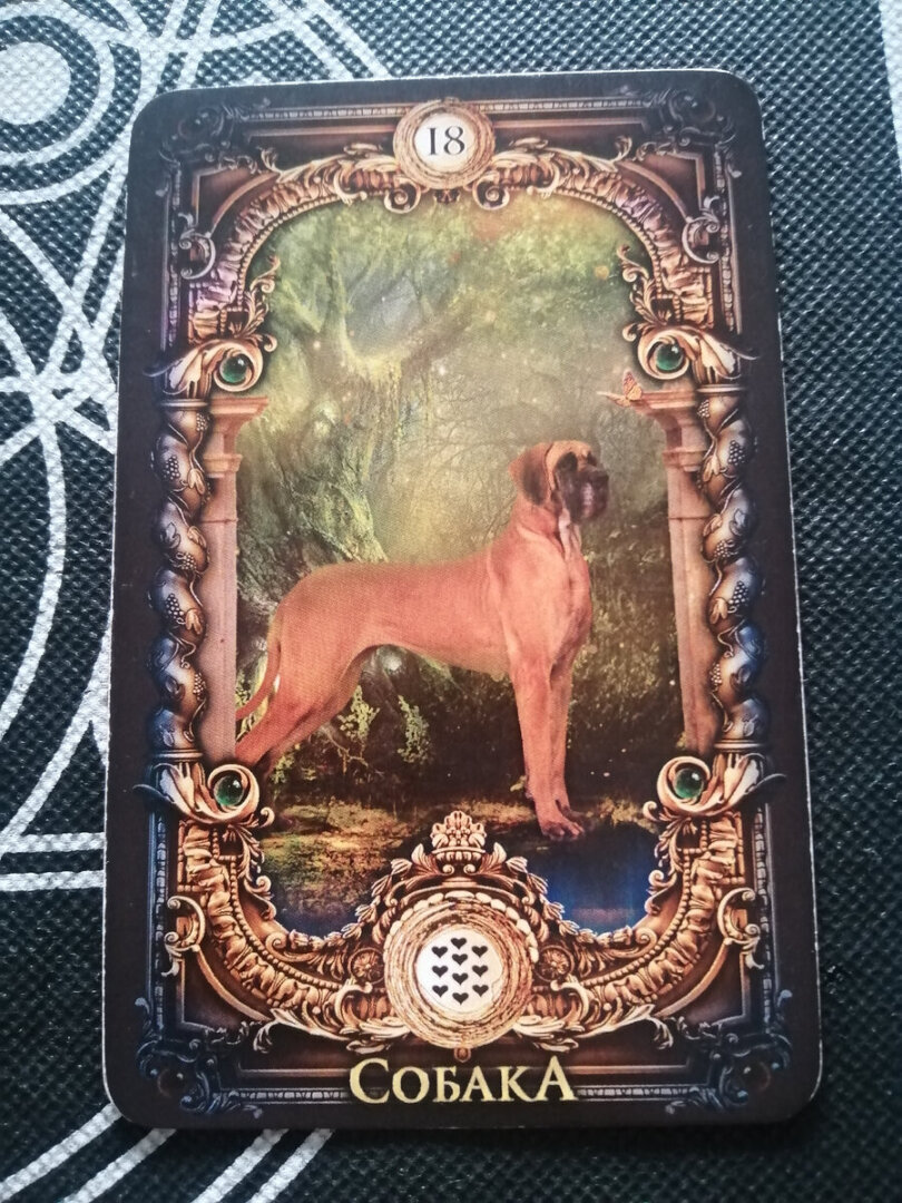 Чем горит его сердце? Что сегодня он ко мне испытывает?