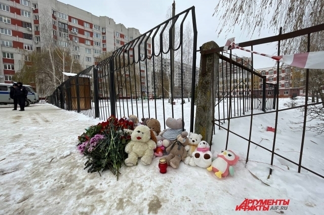 Как дальше учиться? Какие действия властей последуют за трагедией в Брянске?