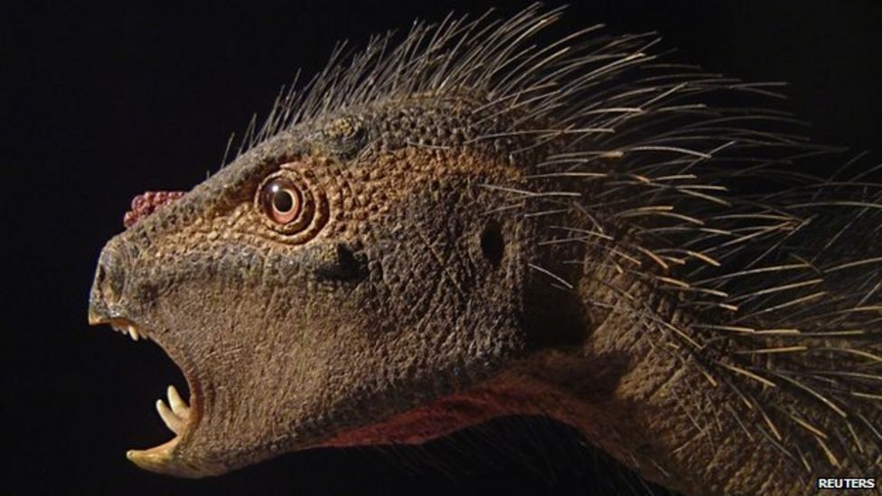 Обнаружен новый динозавр, наполовину птица, летучая мышь-вампир и дикобраз!