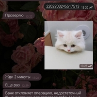 Screenshot_20231209_142428.jpg