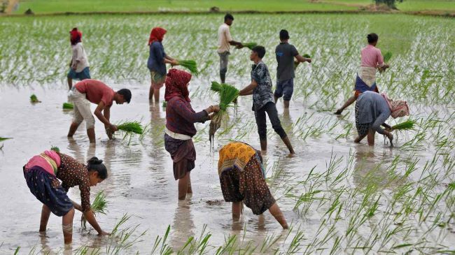 Лишь немногие извлекают выгоду из быстрого роста ВВП Индии