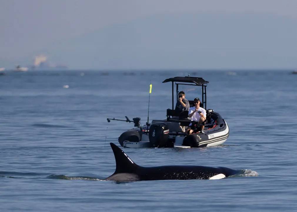 Фотографии выходного дня. Дикая природа. 10 декабря.