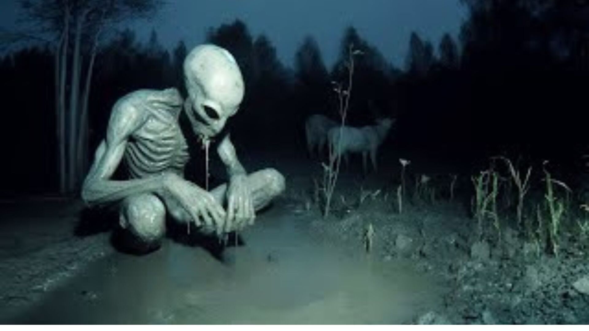 100 Загадочных Видео, Которые Никто не Может Объяснить