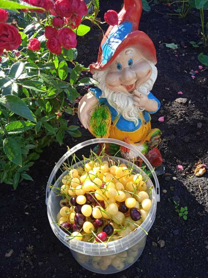 Неожиданно меня пригласили участвовать в кастинге телешоу «4 дачи» для телеканала «ПЯТНИЦА» на третий сезон