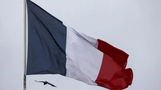 Французскую журналистку, обвинившую Израиль в «геноциде», лишили награды