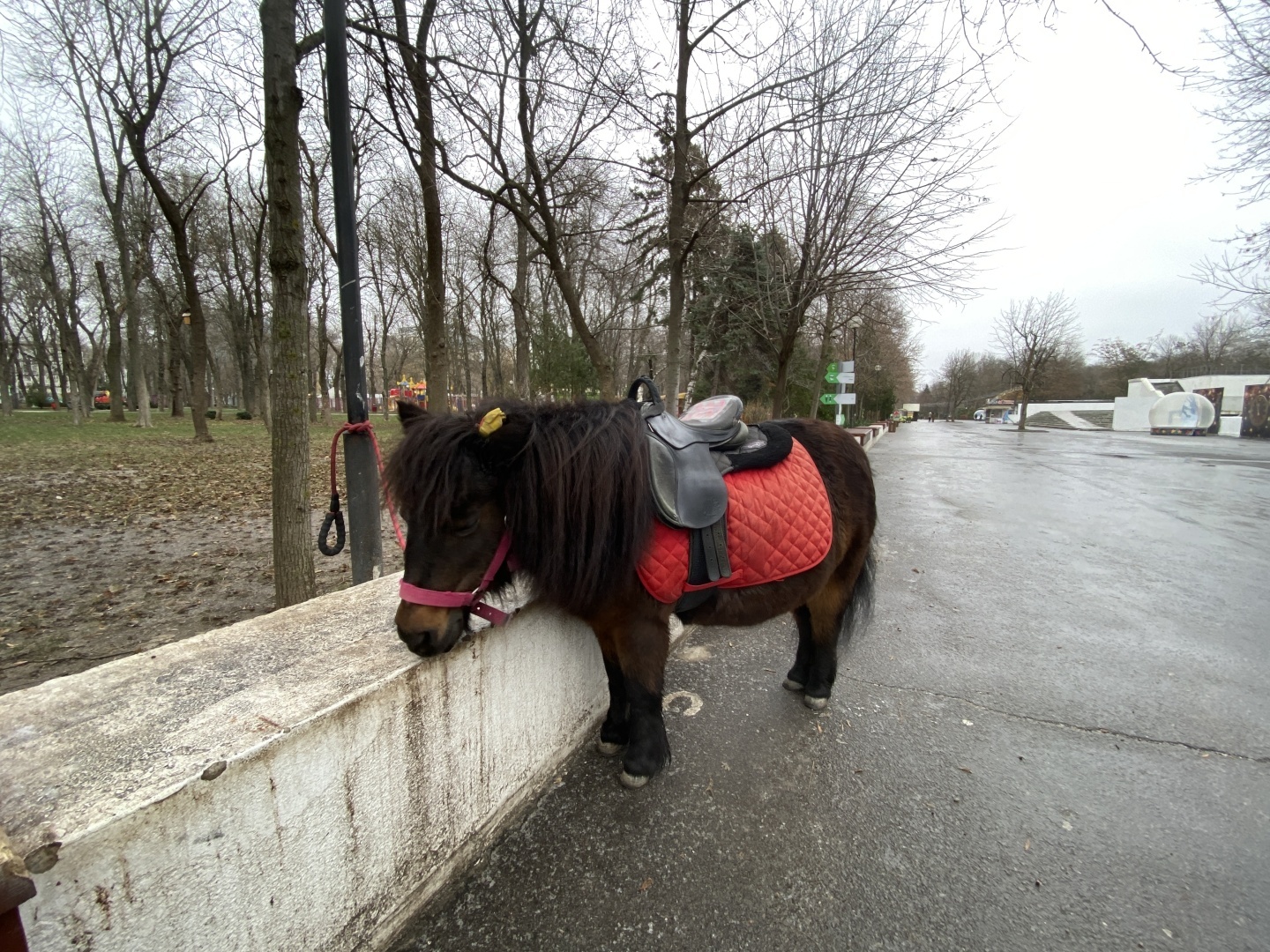 Куда пойти в Ростове-на-Дону зимой/ Красивейшие места города