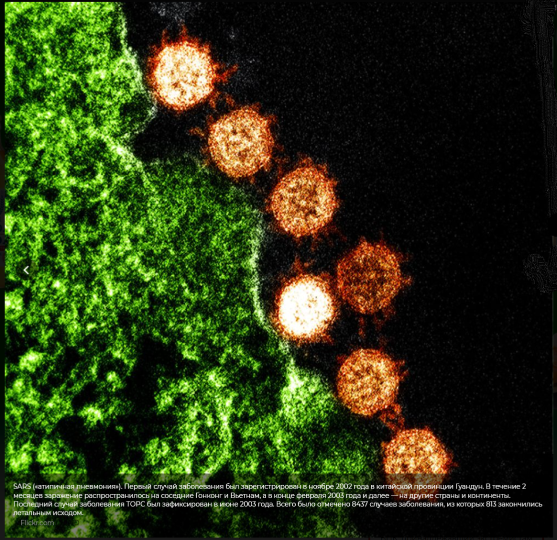 Невидимые чудеса. Погружение в таинственный микромир