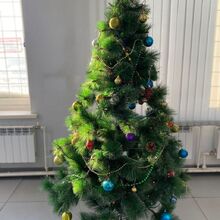 Александр, г. Новосибирск