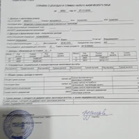 справка о доходах и налогах.jpeg