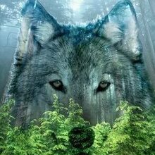 Ксения, г. Москва