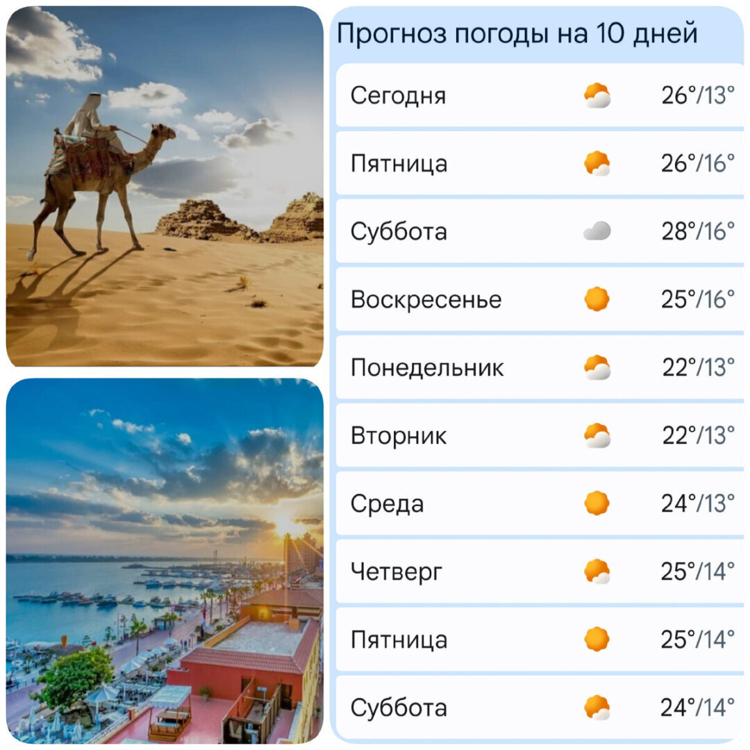 "Яндекс" раскрывает секреты поисковых запросов! Самые популярные страны у россиян в конце 2023 года