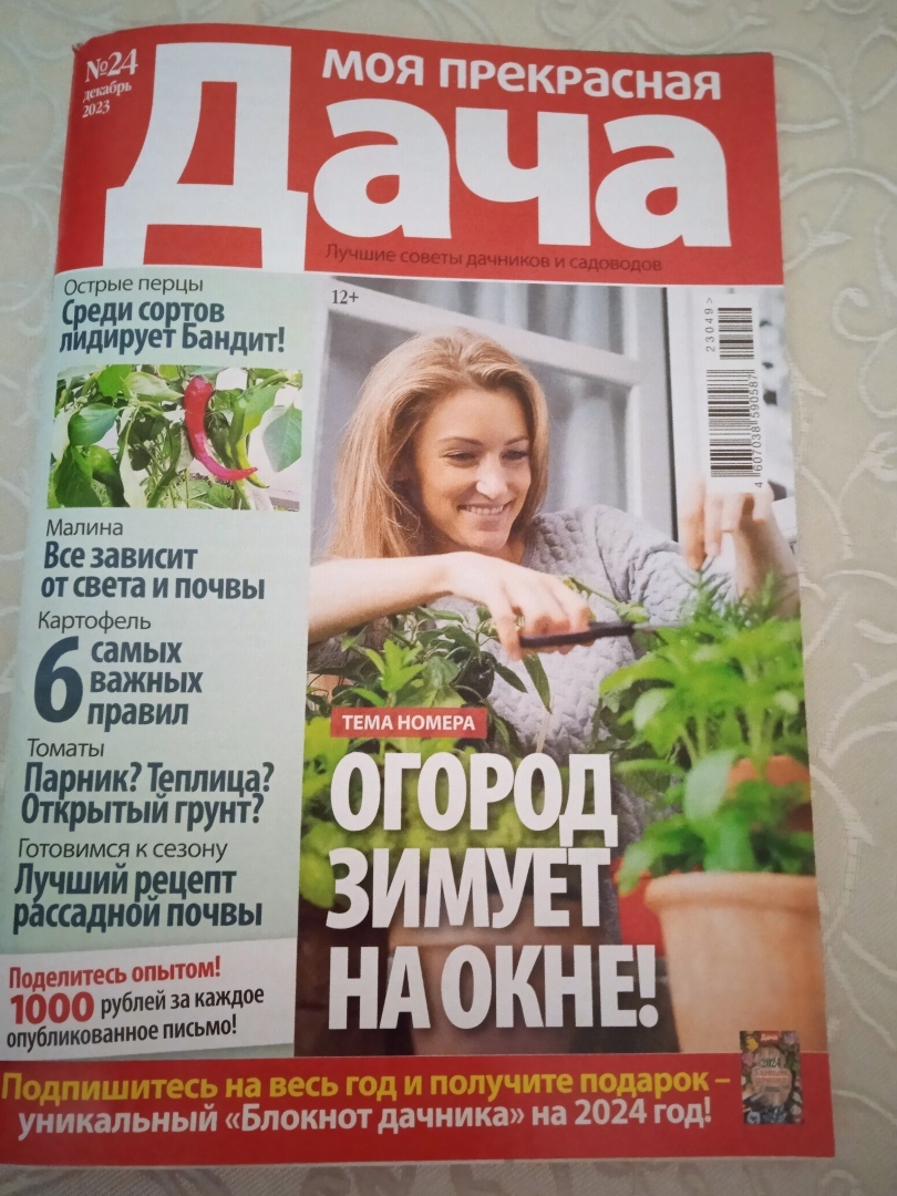 Делюсь своим опытом и получаю гонорары: мой совет как можно заработать на покупку семян и саженцев к дачному сезону.