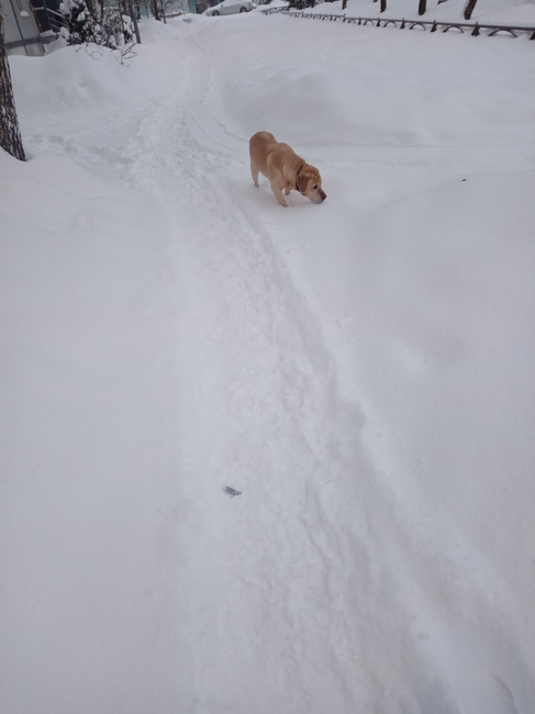 Как только в России не называют мороз! От куда все эти названия?