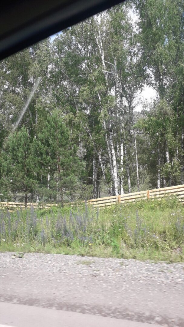 Лучше гор могут быть только горы или о том, почему мы отдыхали, отдыхаем и будем отдыхать только на своей малой, да и большой тоже, Родине