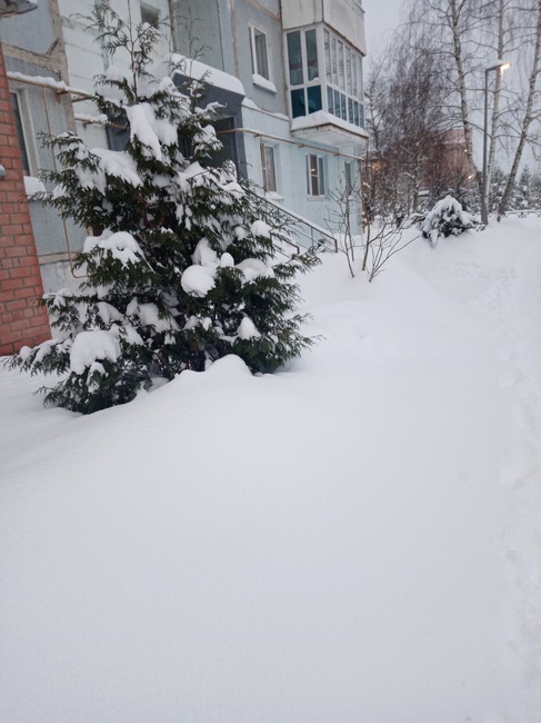 Как только в России не называют мороз! От куда все эти названия?