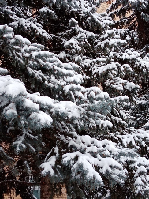 Как только в России не называют мороз! От куда все эти названия?