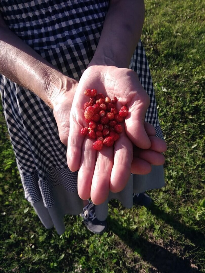 Лучше гор могут быть только горы или о том, почему мы отдыхали, отдыхаем и будем отдыхать только на своей малой, да и большой тоже, Родине