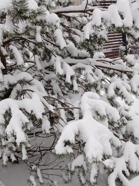 Как только в России не называют мороз! От куда все эти названия?