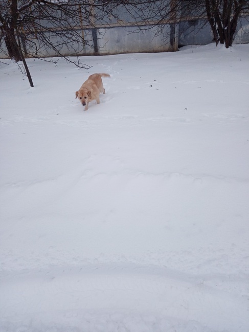Как только в России не называют мороз! От куда все эти названия?
