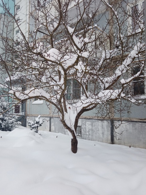 Как только в России не называют мороз! От куда все эти названия?