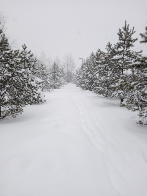 Как только в России не называют мороз! От куда все эти названия?