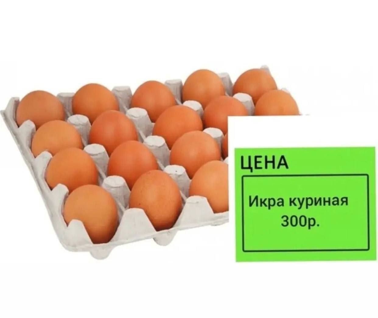 Кто виноват в подорожании яиц