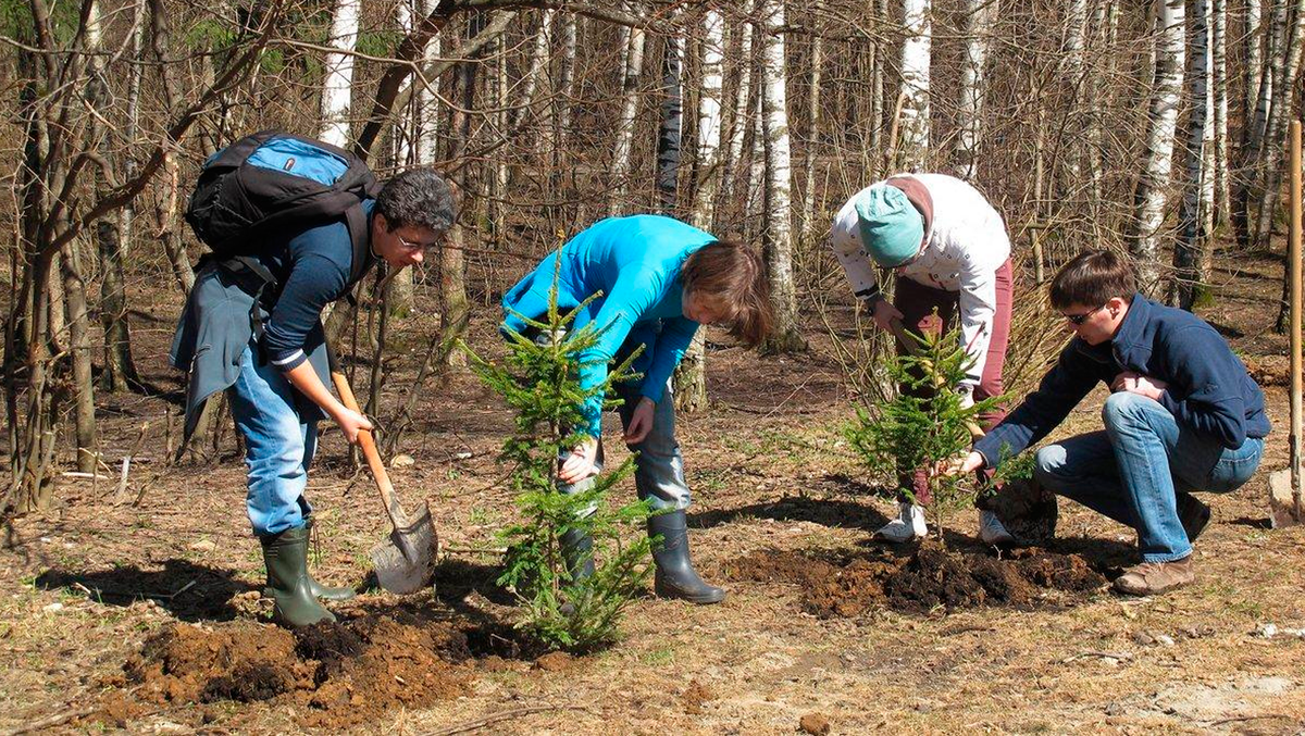 Россия задыхается: как загрязнение воздуха губит здоровье нации