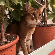 Вячеслав, г. Москва