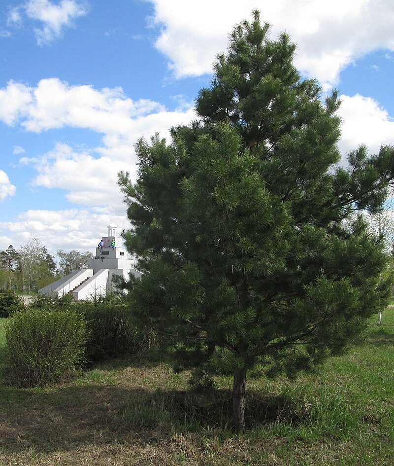 Рассказ "Город Омск"