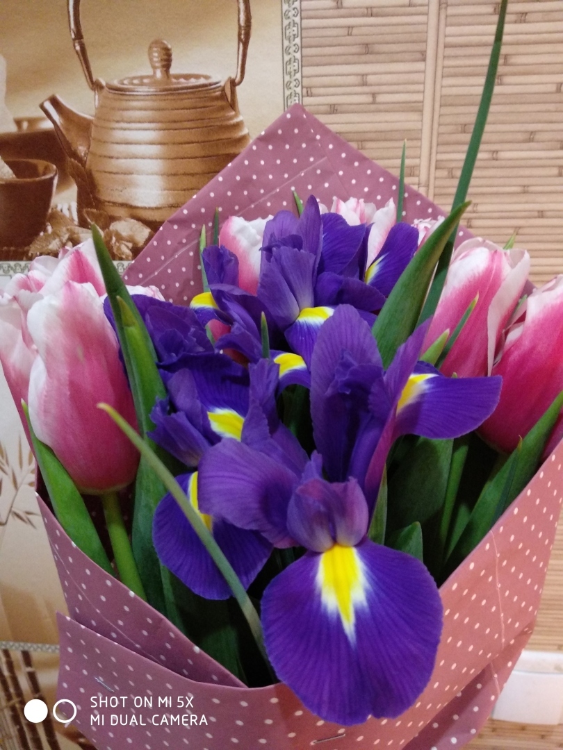 О чём сожалеют американки, вышедшие замуж за русского мужчину