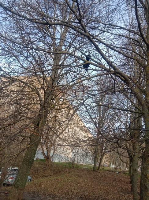 Замечательные выходные