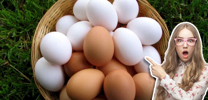 Российский яичный кризис: Что стоит за стремительным ростом цен и импортом из Азербайджана