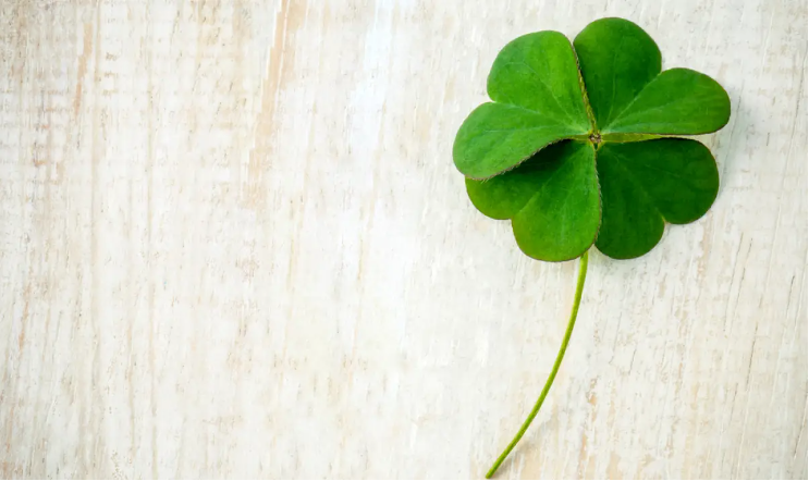 Мужские и женские имена, которые привлекают удачу