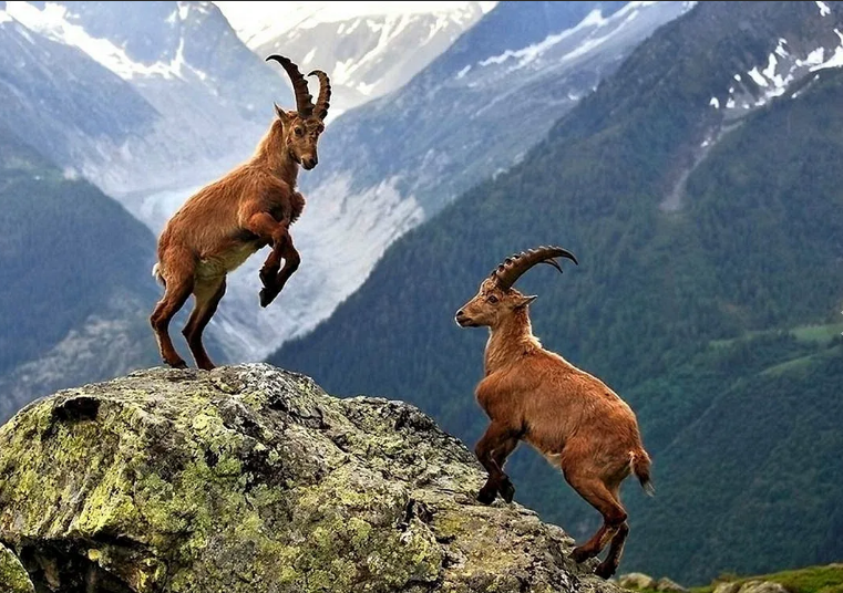 Начинаешь ценить родителей когда их уже нету.