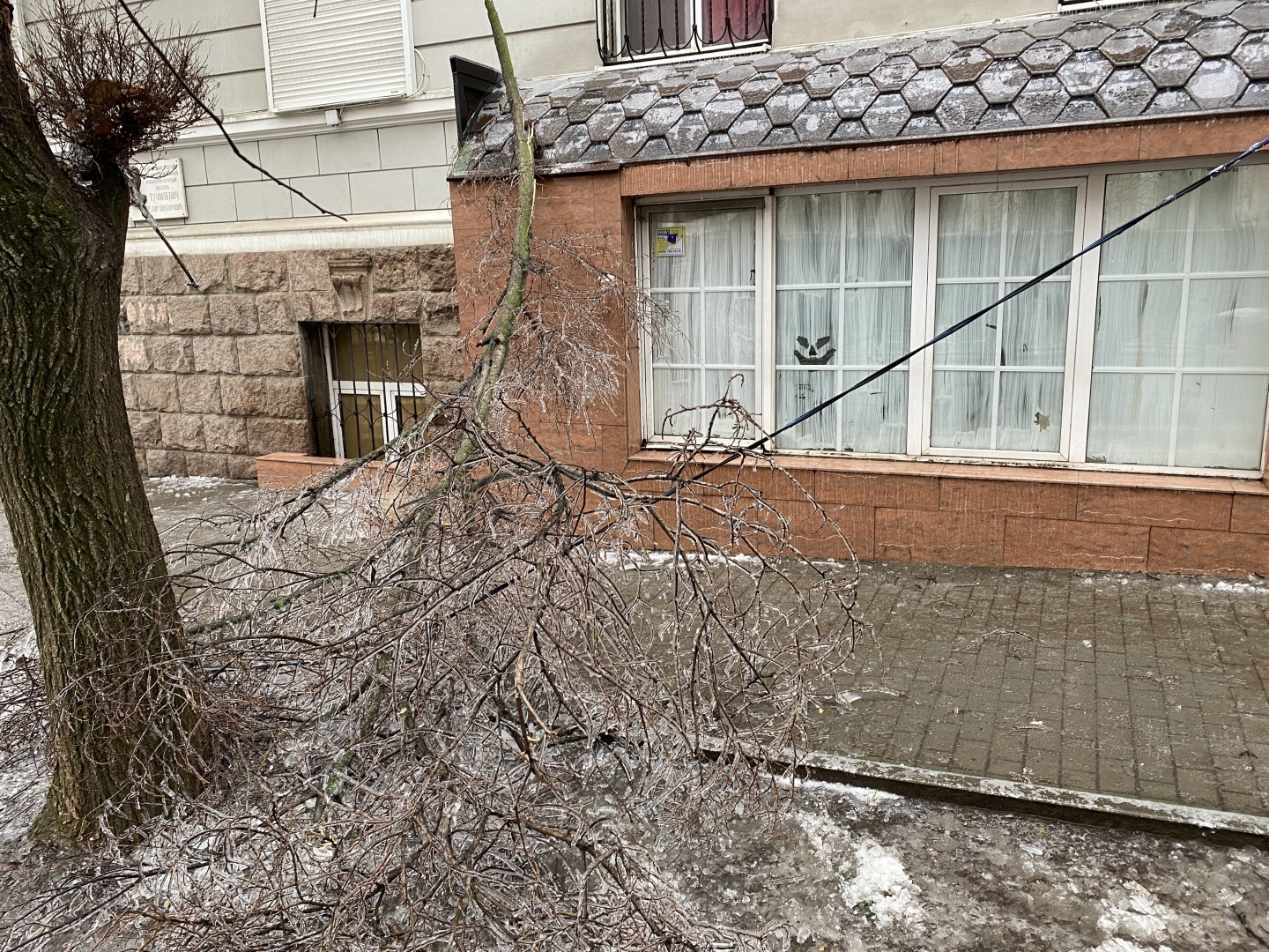 Ледяной апокалипсис в Ростове и его последствия