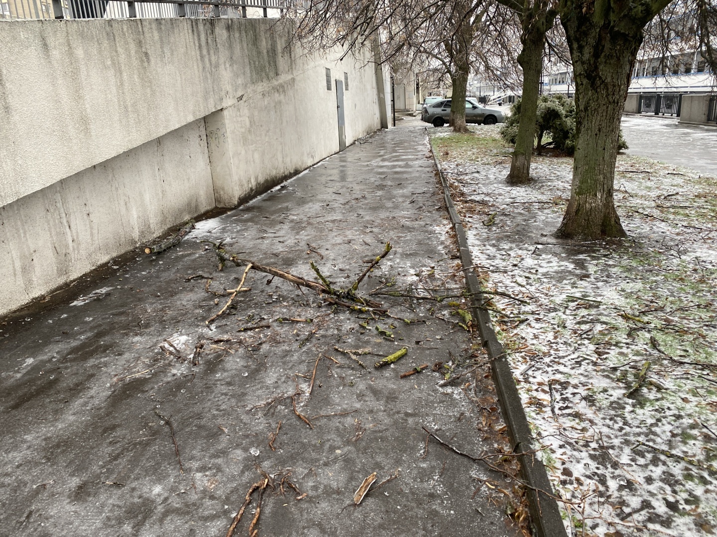 Ледяной апокалипсис в Ростове и его последствия