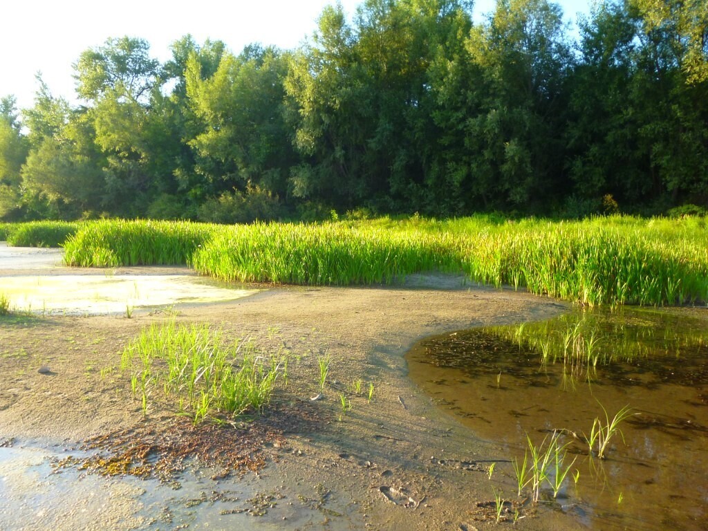 Люблю фотографировать родную природу! Особенно, когда выезжаем на Дон