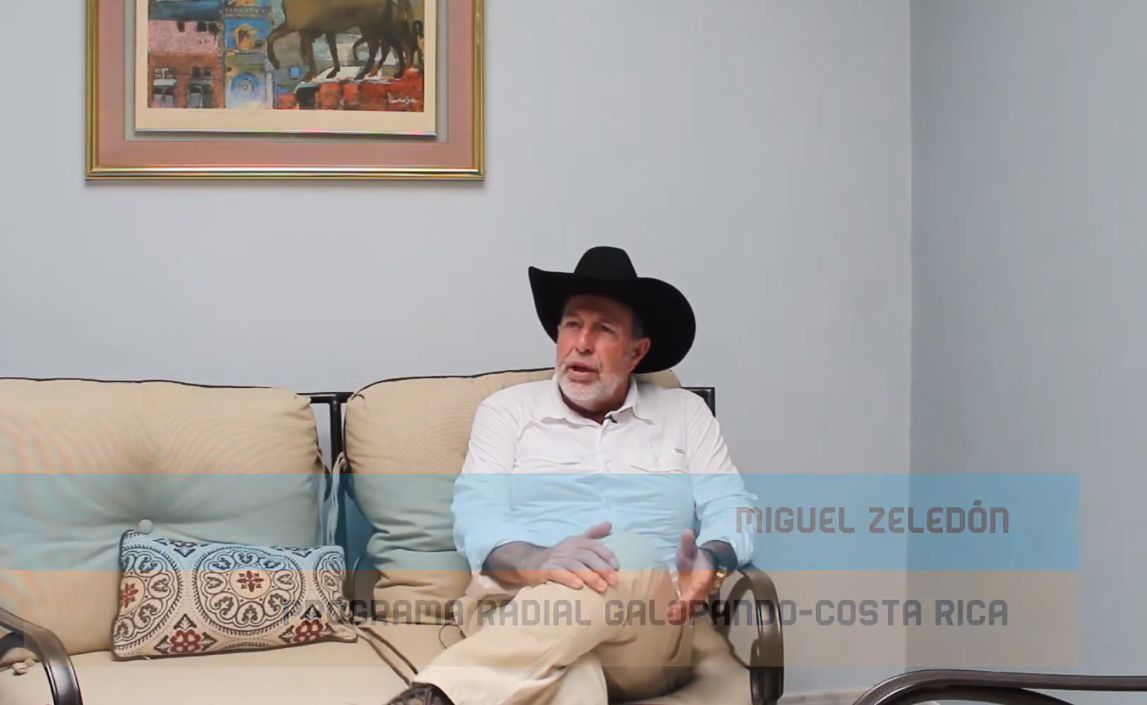 Встать, суд идёт... Часть 44. В своей кассационной жалобе адвокат моих ответчиков обозвала одного из своих свидетелей «деревенщиной»