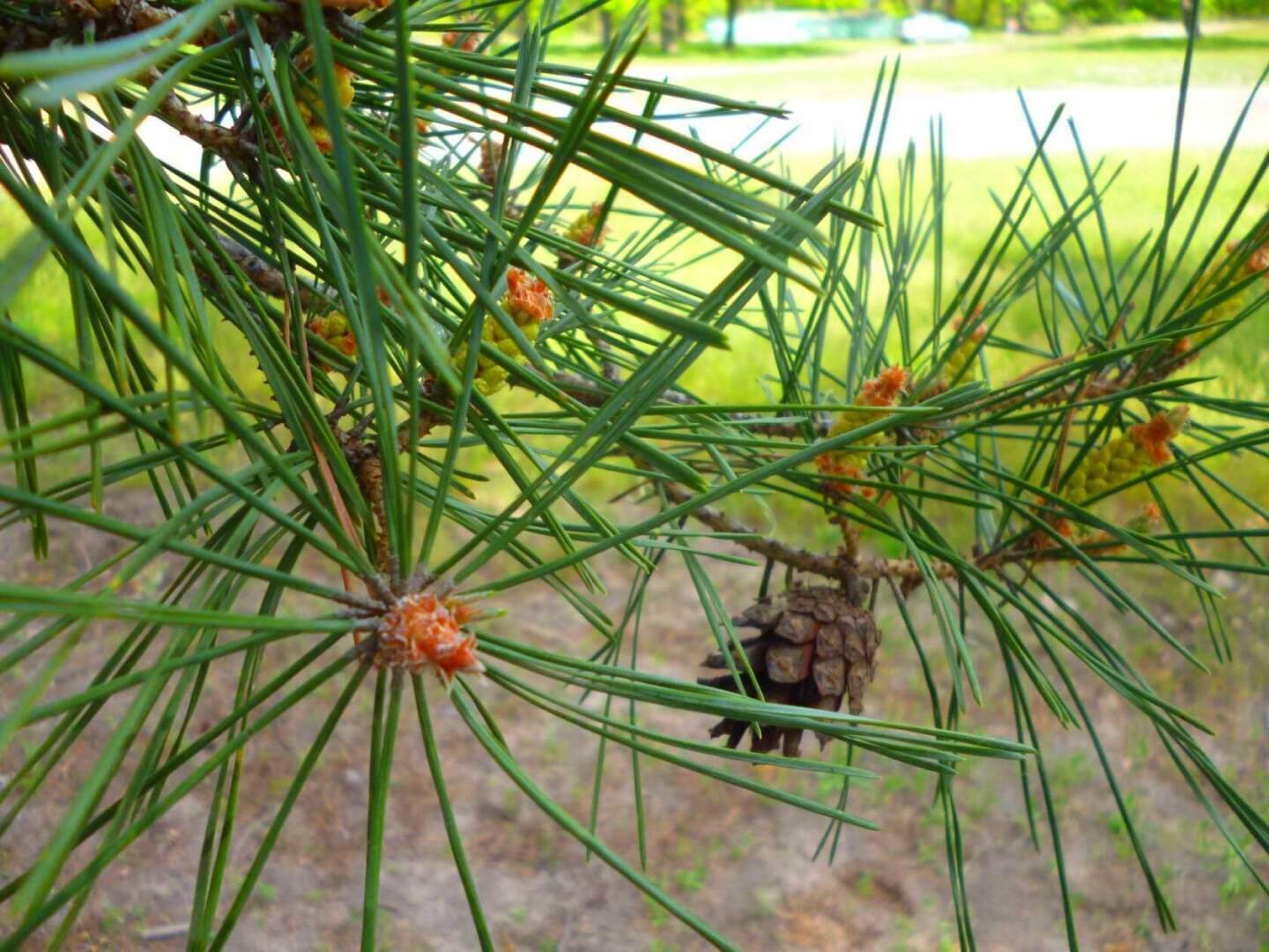 Люблю фотографировать родную природу! Особенно, когда выезжаем на Дон