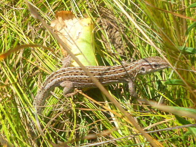 Люблю фотографировать родную природу! Особенно, когда выезжаем на Дон