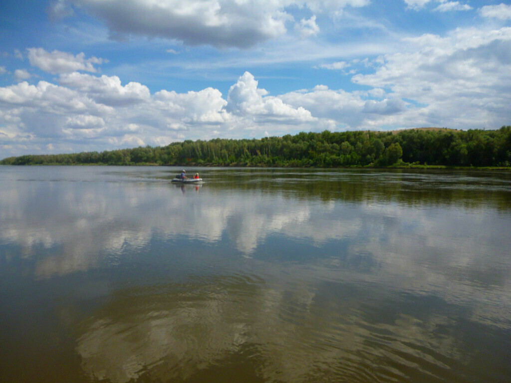 Люблю фотографировать родную природу! Особенно, когда выезжаем на Дон