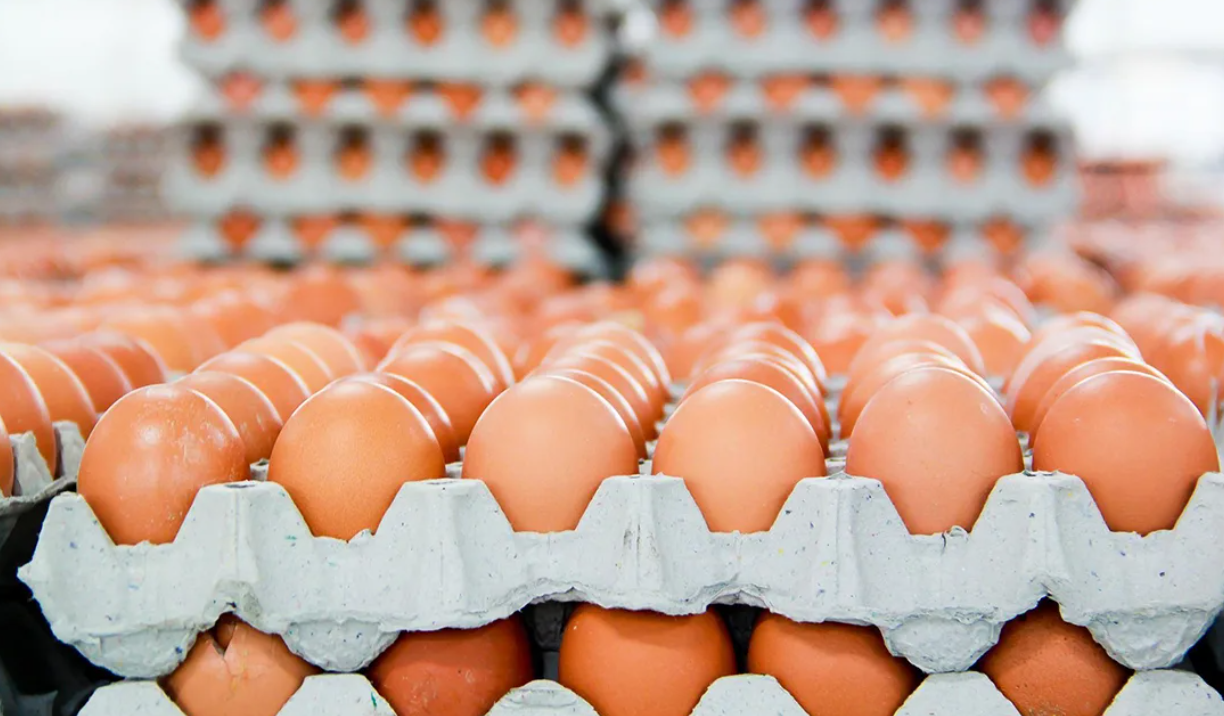 Туалетная бумага, сахар, теперь яйца... Чего еще нам в России не хватает?