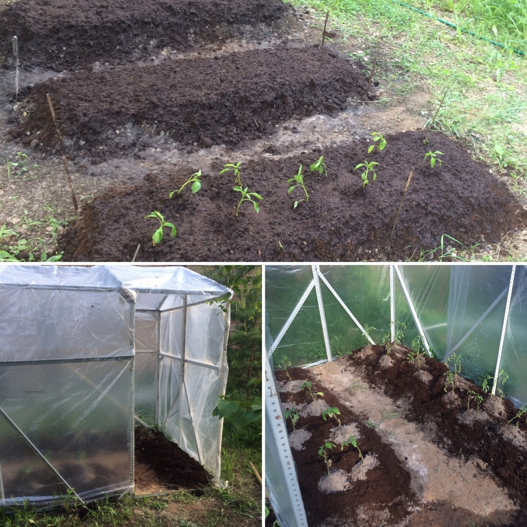 Москва или деревня, квартира или частный дом? События последних лет подталкивают к судьбоносному решению по смене ПМЖ