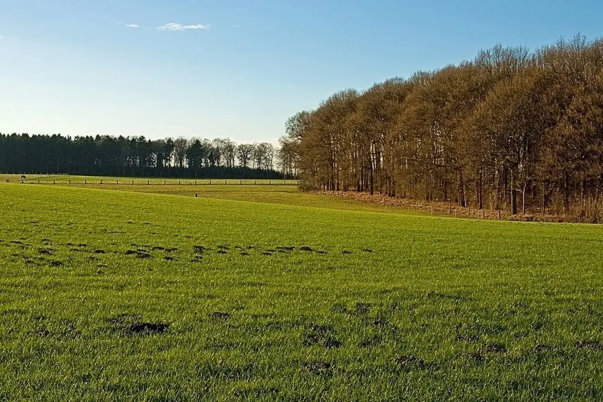 Город и село - родные братья!