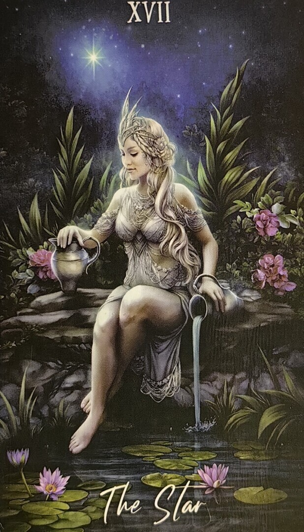 Совет дня на 23.12.2023 г.