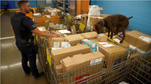 Суперлаборатории фентанила в Канаде представляют новую угрозу опиоидной эпидемии в США