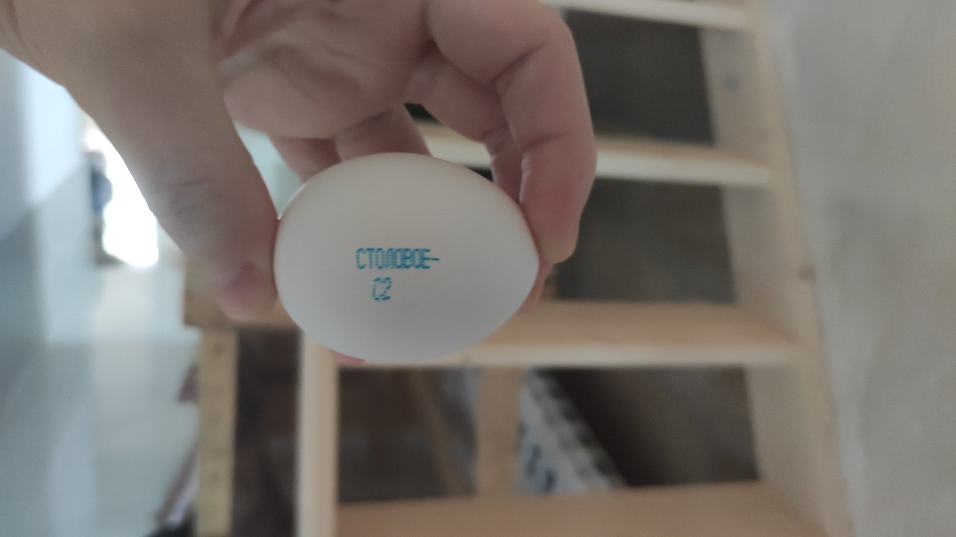 Россияне едят яйца быстрее, чем курицы их несут: Набиуллина обосновала рост цен на «новый деликатес»